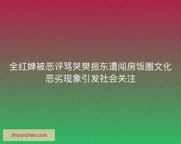 全红婵被恶评骂哭樊振东遭闯房饭圈文化恶劣现象引发社会关注